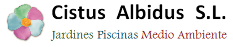 Cistus Albidus